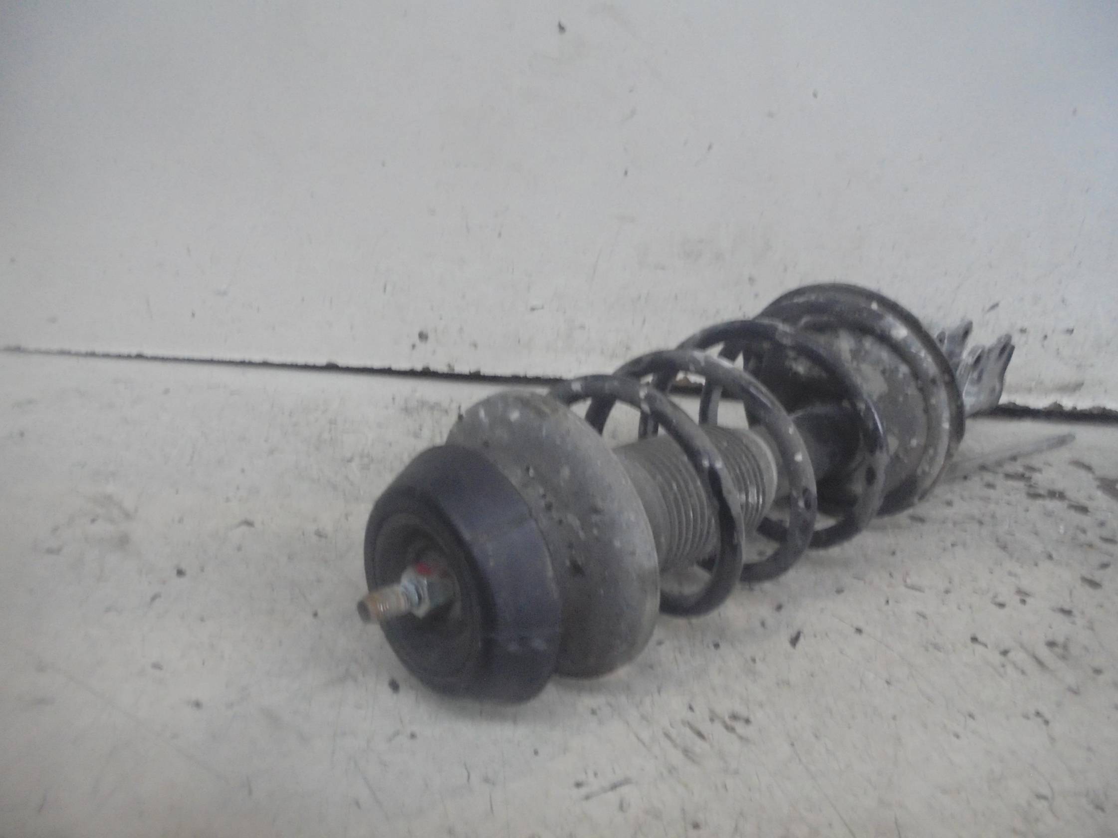 Ammortizzatore ant. sx.